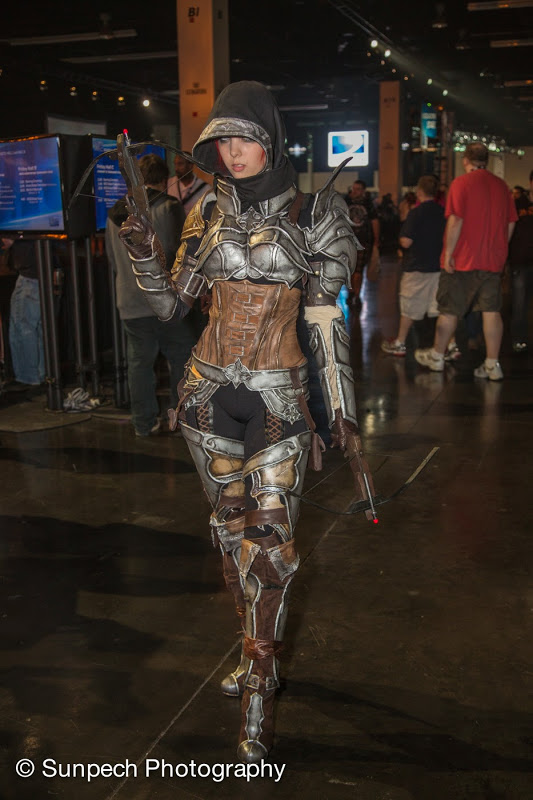 2013 Blizzcon 13