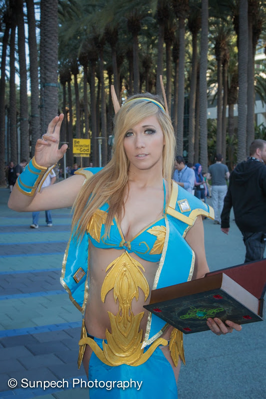 2013 Blizzcon 14