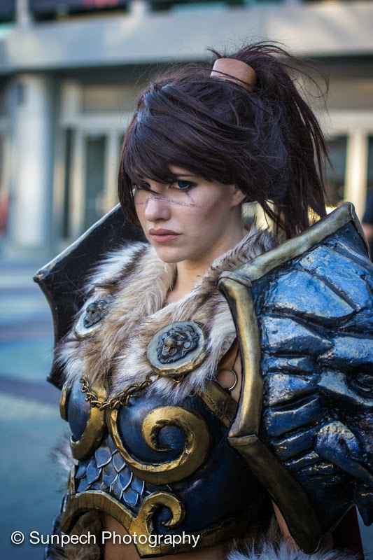 2013 Blizzcon 17