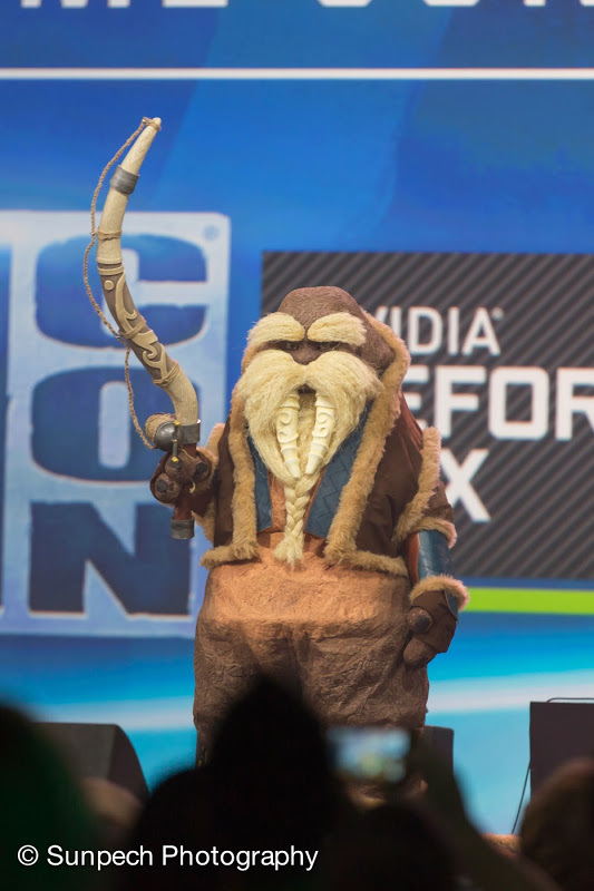 2013 Blizzcon 21