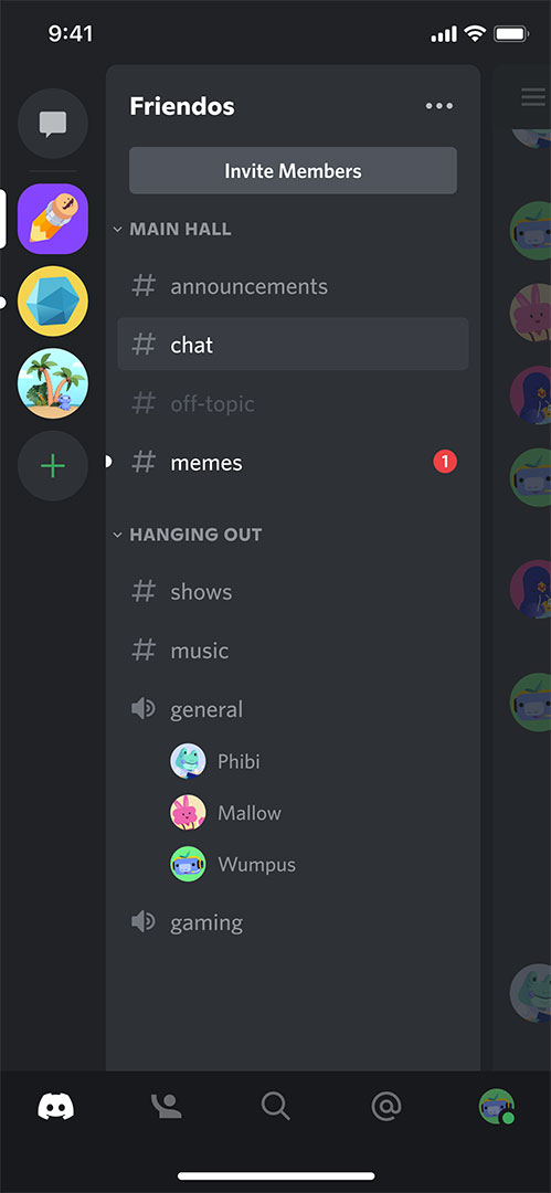 Discord iPhone screenshot