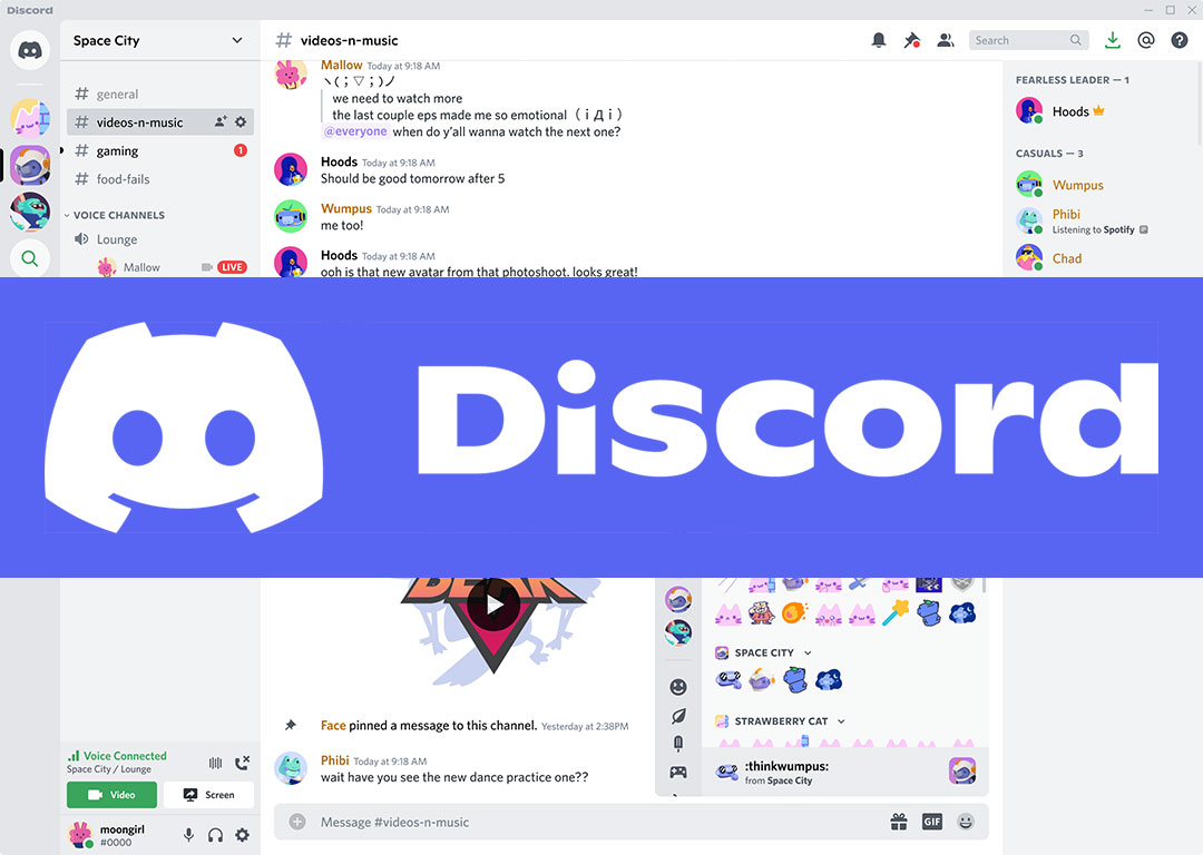 Discord: The Internet's Chat Room