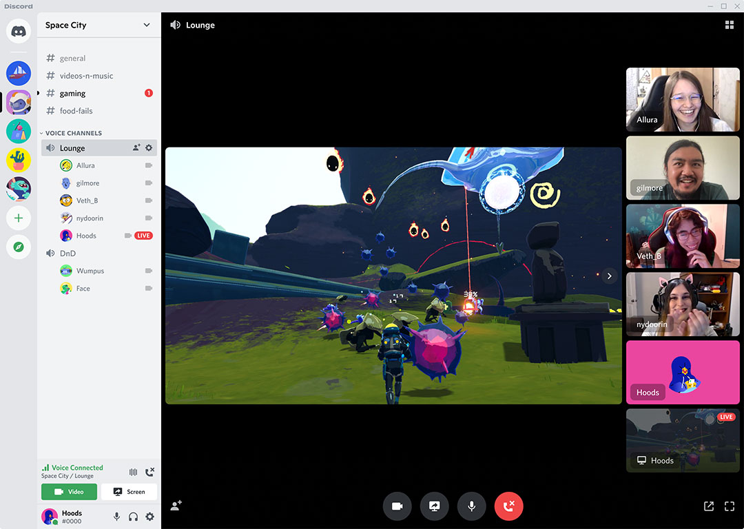 Discord Video Call Screenshot