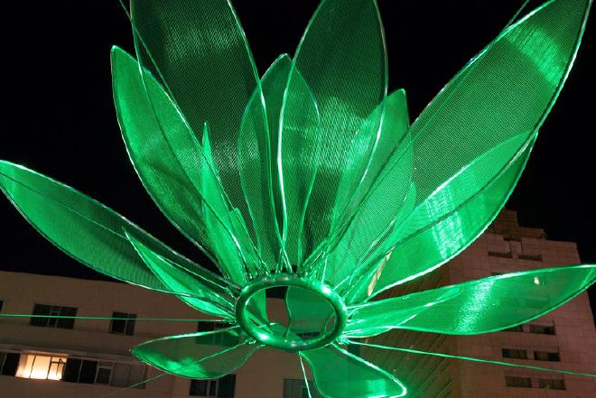 Light Chasers Artwalk Downtown Photo 14